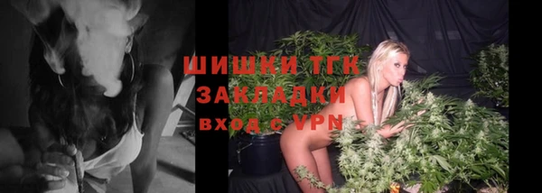 ПСИЛОЦИБИНОВЫЕ ГРИБЫ Костерёво