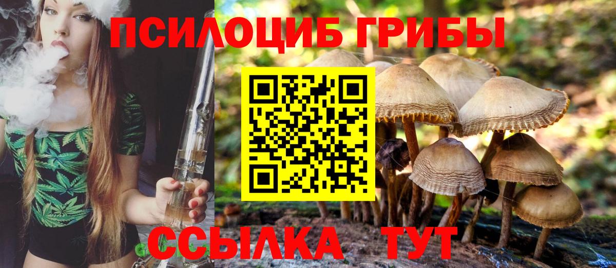 Галлюциногенные грибы прущие грибы Апрелевка